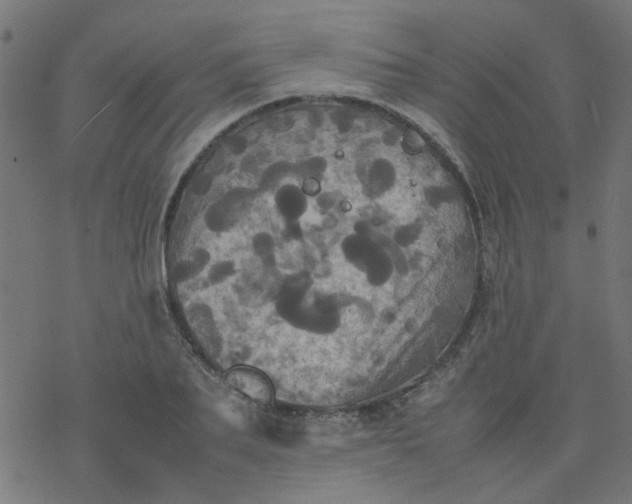 X0000077360887200611031843