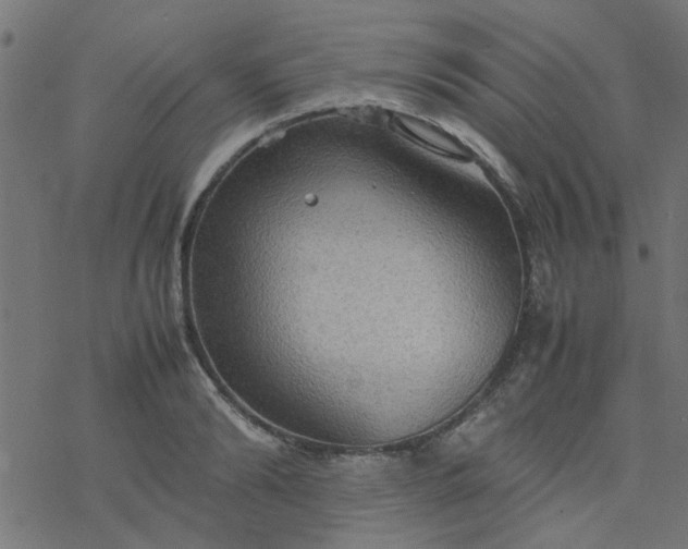 X0000077360894200611031843