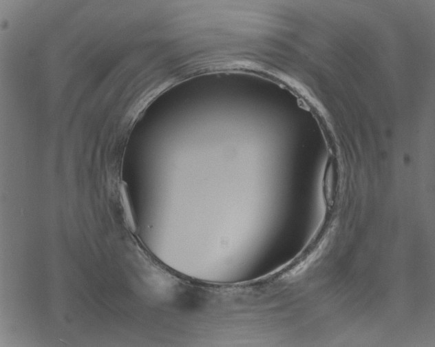 X0000077360897200611031843