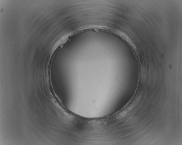 X0000077360898200611031843