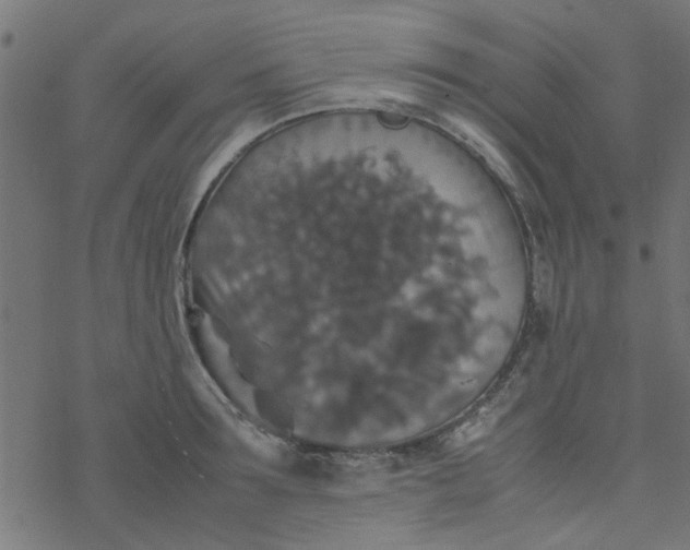 X0000077360899200611031843