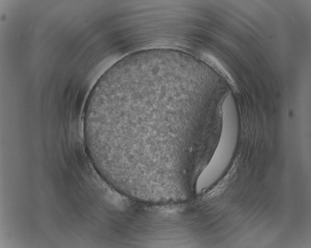 X0000077360900200611031843