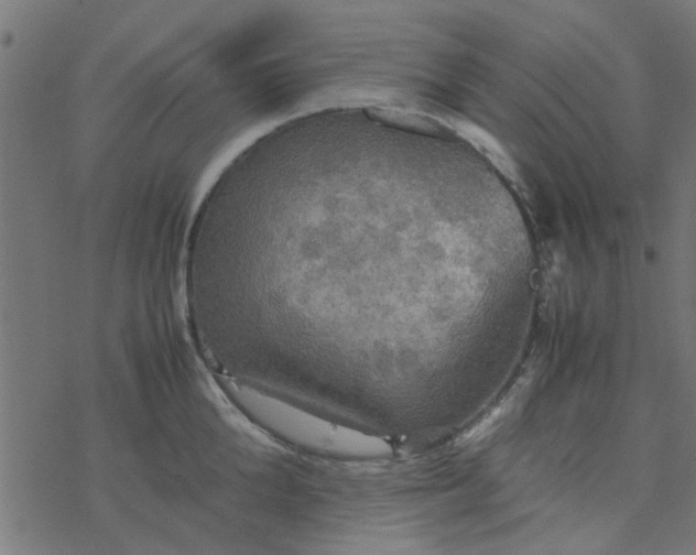 X0000077360904200611031843