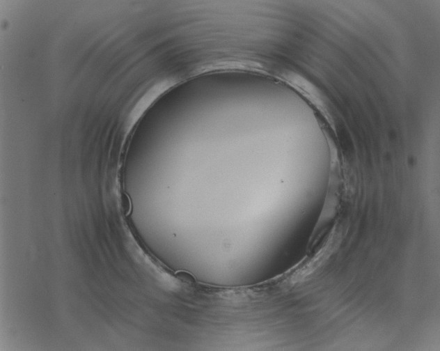 X0000077360906200611031843