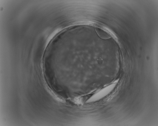 X0000077360907200611031843