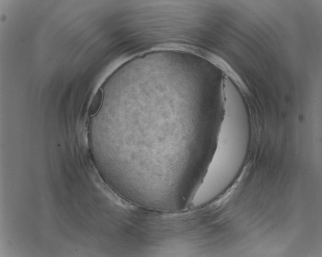 X0000077360908200611031843