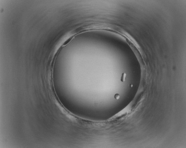 X0000077360909200611031843