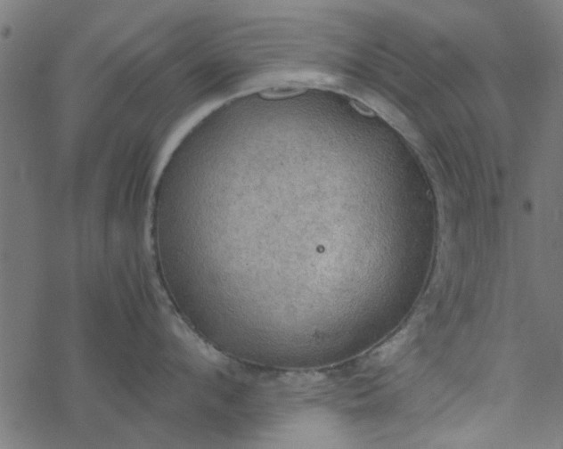 X0000077360912200611031843