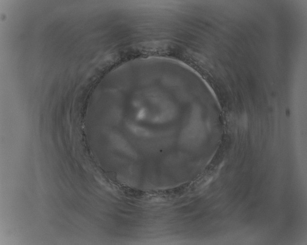 X0000077360913200611031842