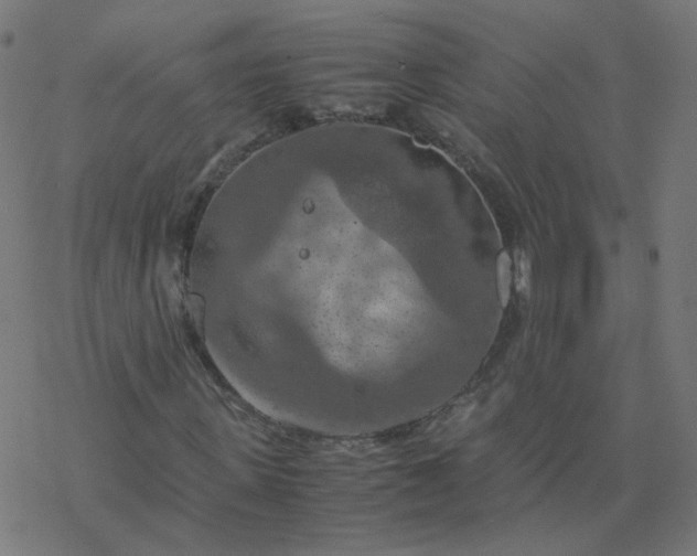 X0000077360915200611031842