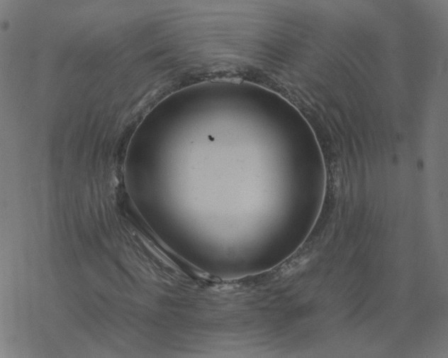 X0000077360916200611031842