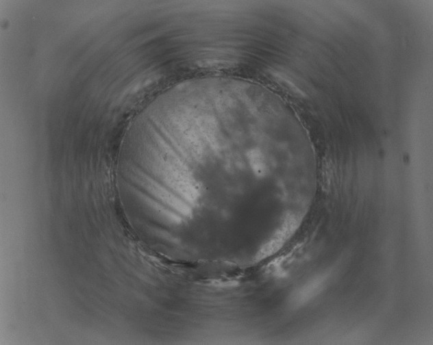 X0000077360917200611031842