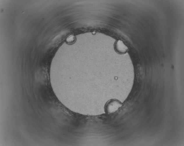 X0000077360918200611031842