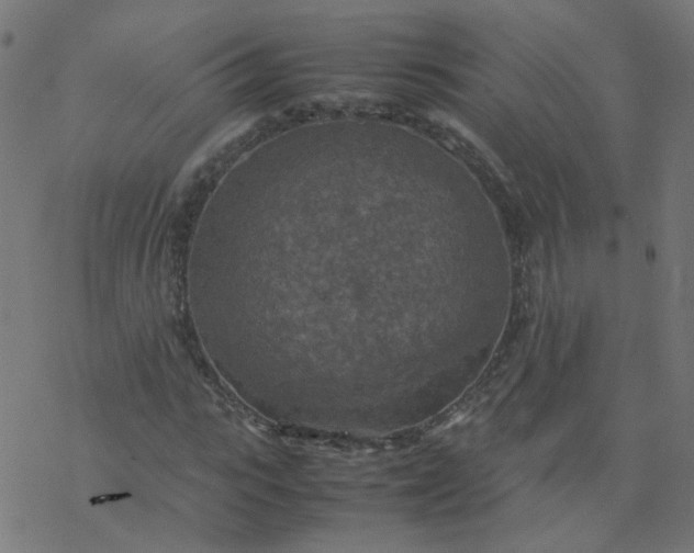 X0000077360919200611031842