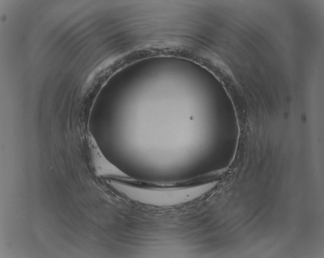 X0000077360920200611031842