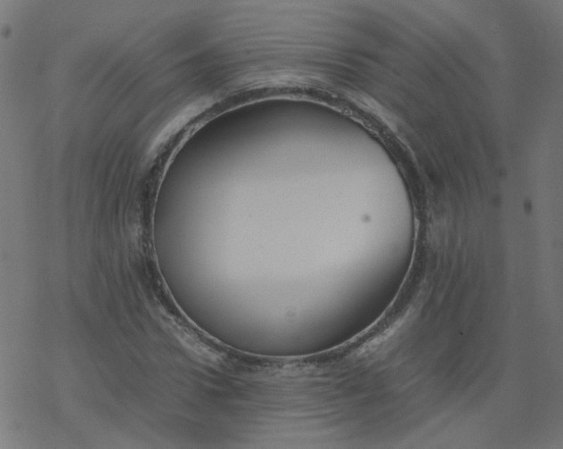 X0000077360922200611031842