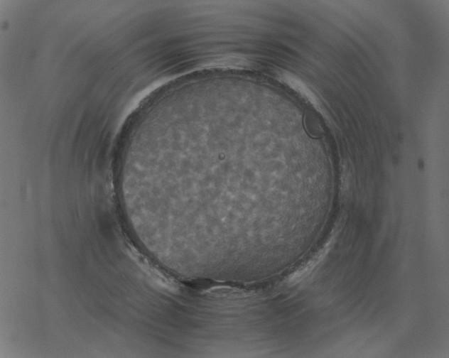 X0000077360923200611031842