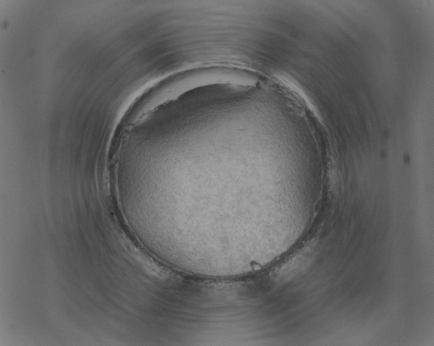 X0000077360924200611031842