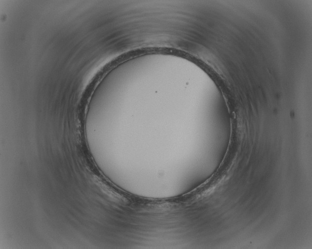 X0000077360926200611031842