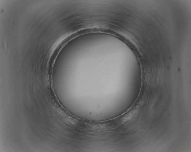 X0000077360927200611031842