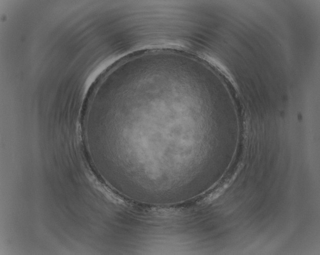 X0000077360928200611031842