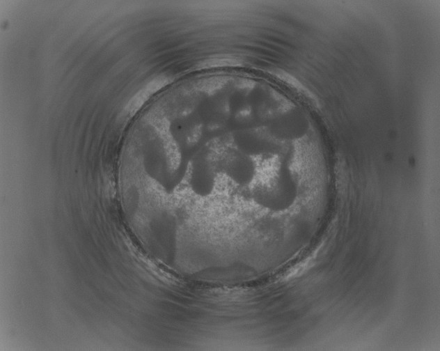 X0000077360929200611031842