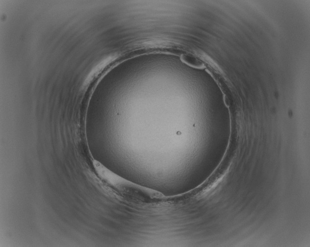 X0000077360930200611031842