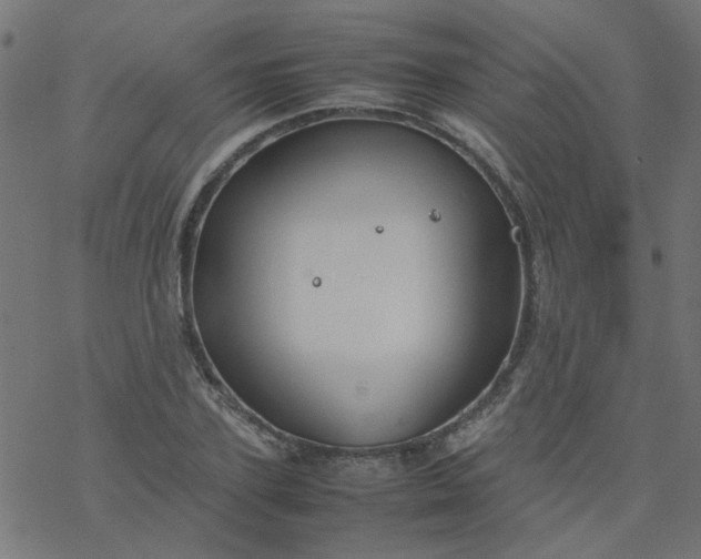 X0000077360931200611031842