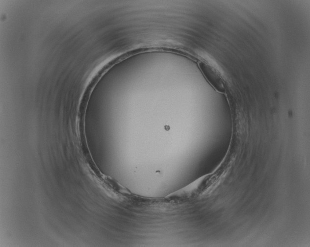 X0000077360932200611031842