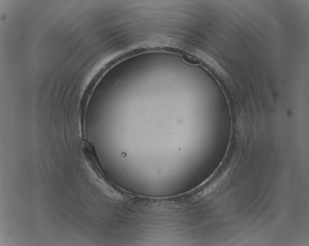 X0000077360934200611031842