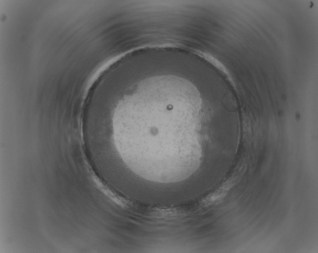 X0000077360935200611031842