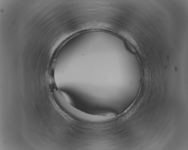 X0000077360936200611031842