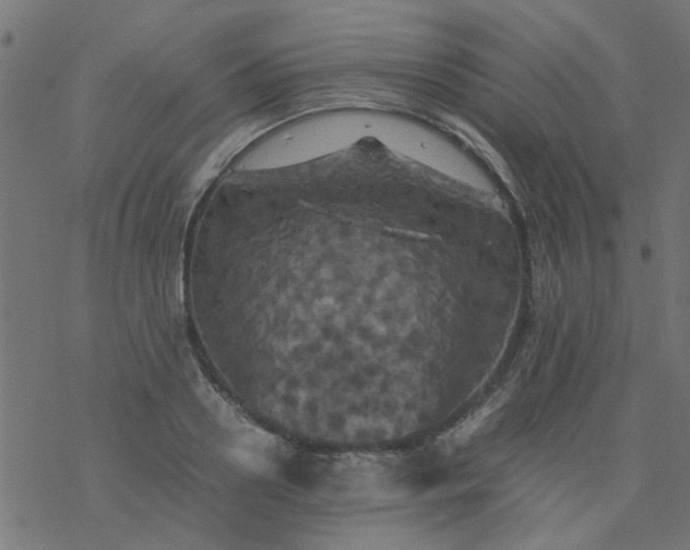 X0000077360938200611031842