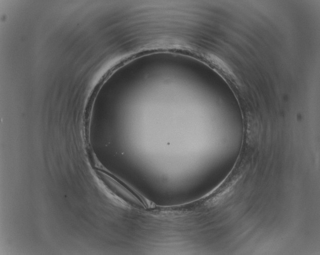 X0000077360942200611031843