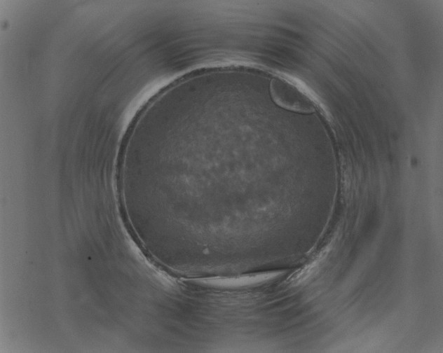 X0000077360943200611031843