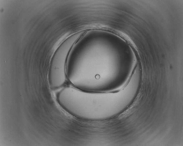 X0000077360946200611031843