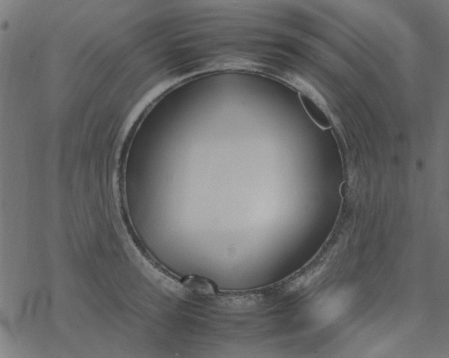 X0000077360947200611031843