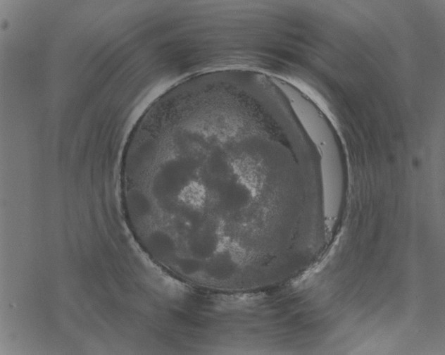 X0000077360949200611031843