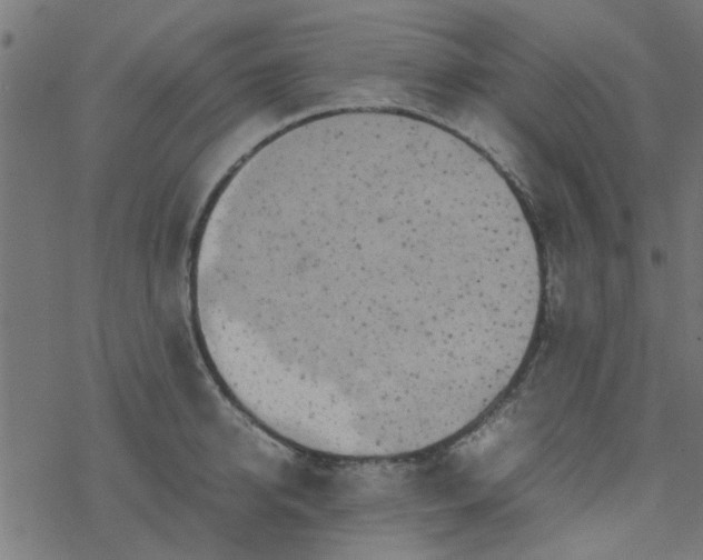 X0000077360950200611031843