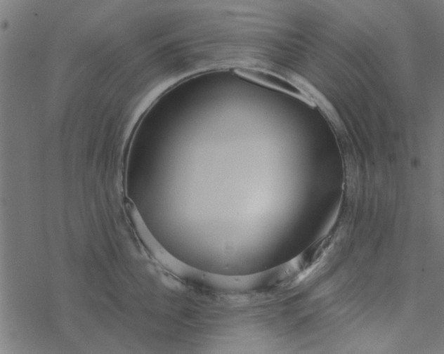 X0000077360956200611031843