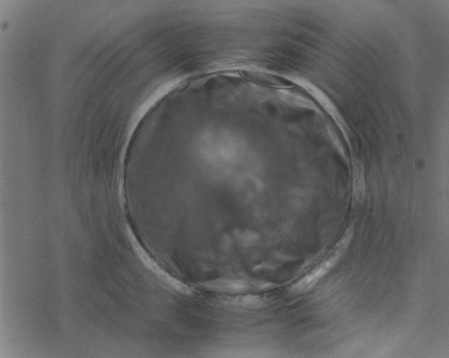 X0000077360957200611031843