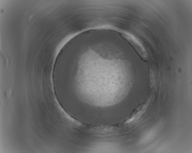 X0000077360959200611031843