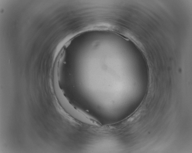 X0000077360960200611031843