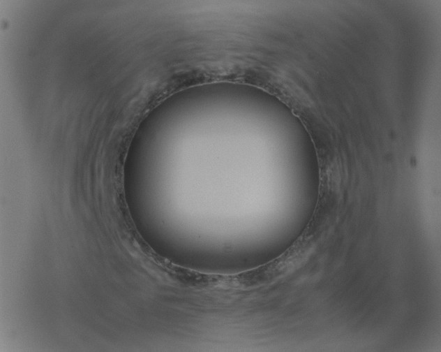 X0000077360961200611031842