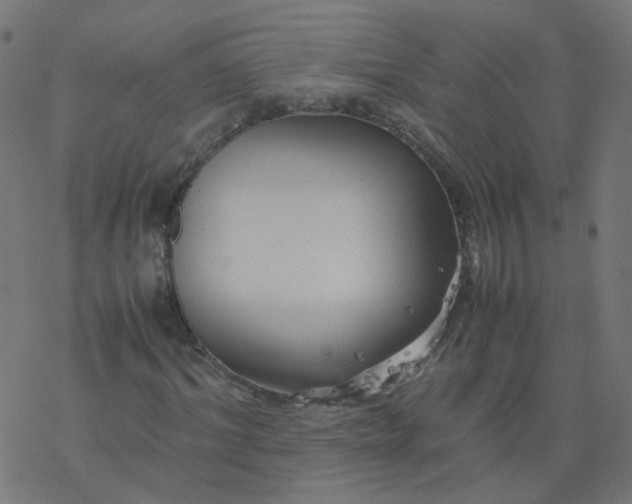 X0000077360964200611031842