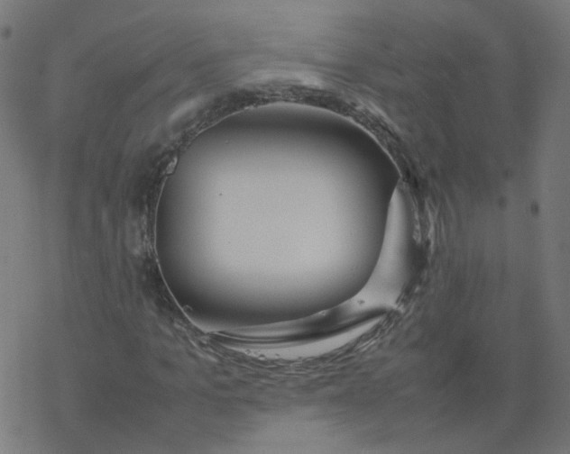 X0000077360965200611031842