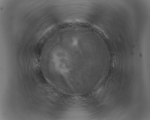 X0000077360966200611031842