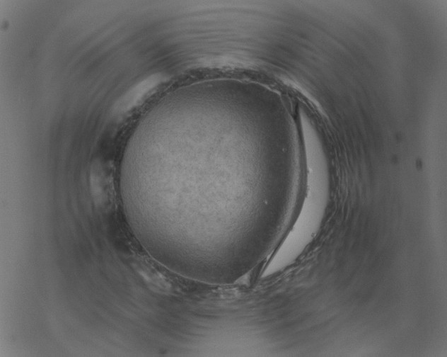 X0000077360968200611031842