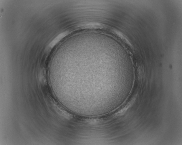 X0000077360970200611031842