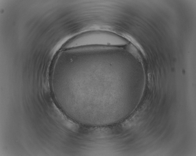 X0000077360972200611031842